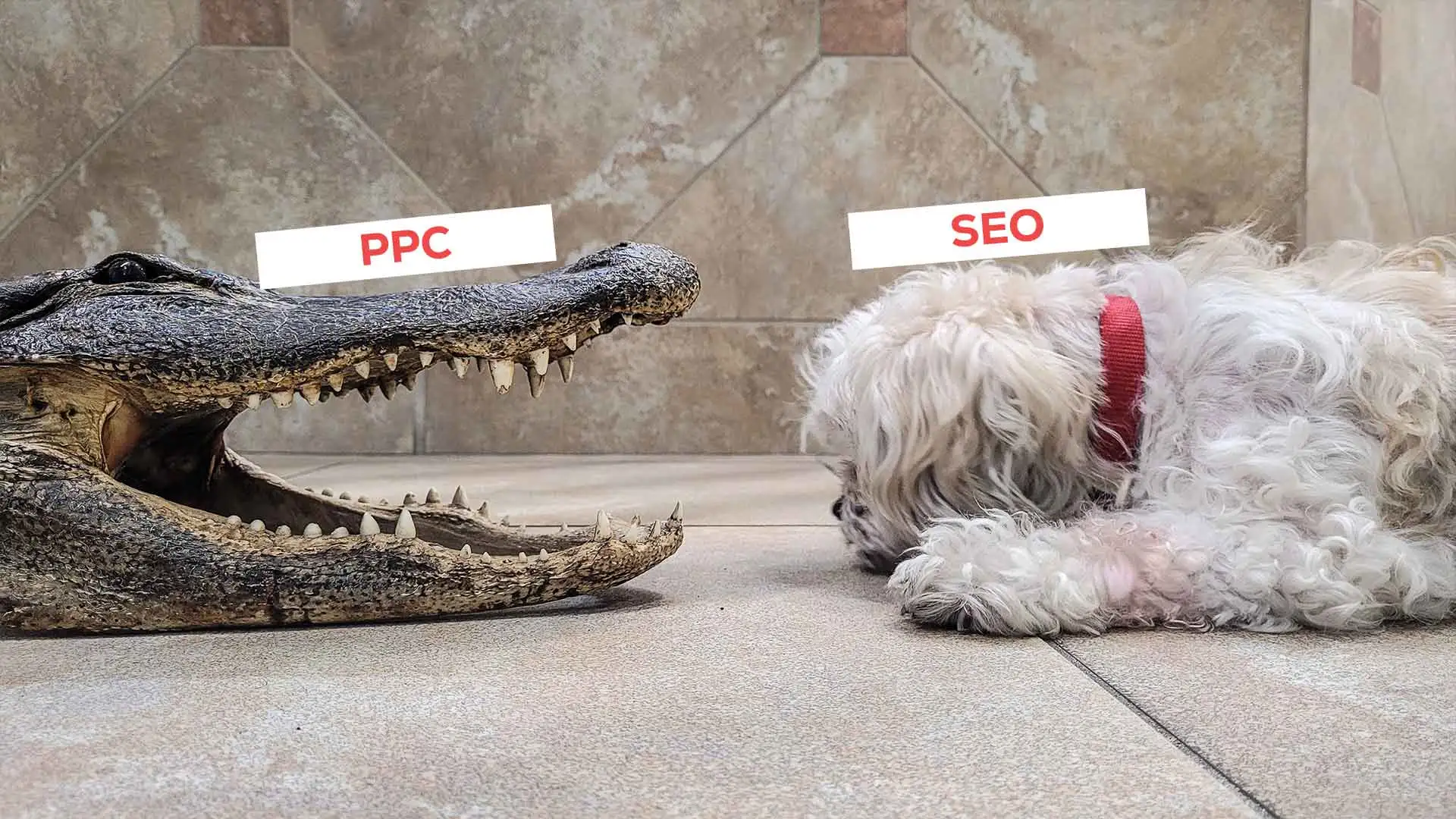 PPC vs SEO: Unraveling the Battle for Online Visibility